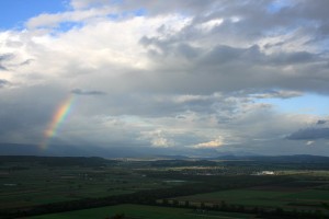 IMG_4340_
