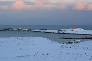 IMG_5132