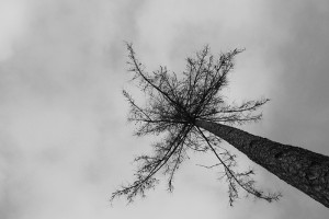 IMG_6682