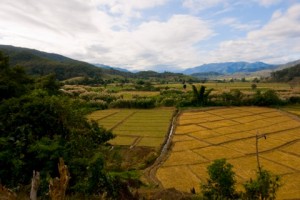 IMG_1462