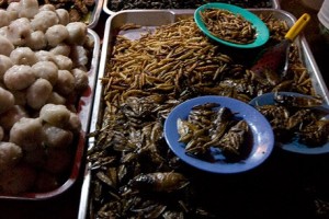 Insectes au marché en Thaïlande