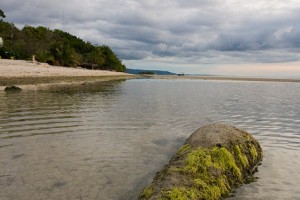 IMG_8608
