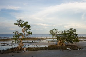 IMG_8704