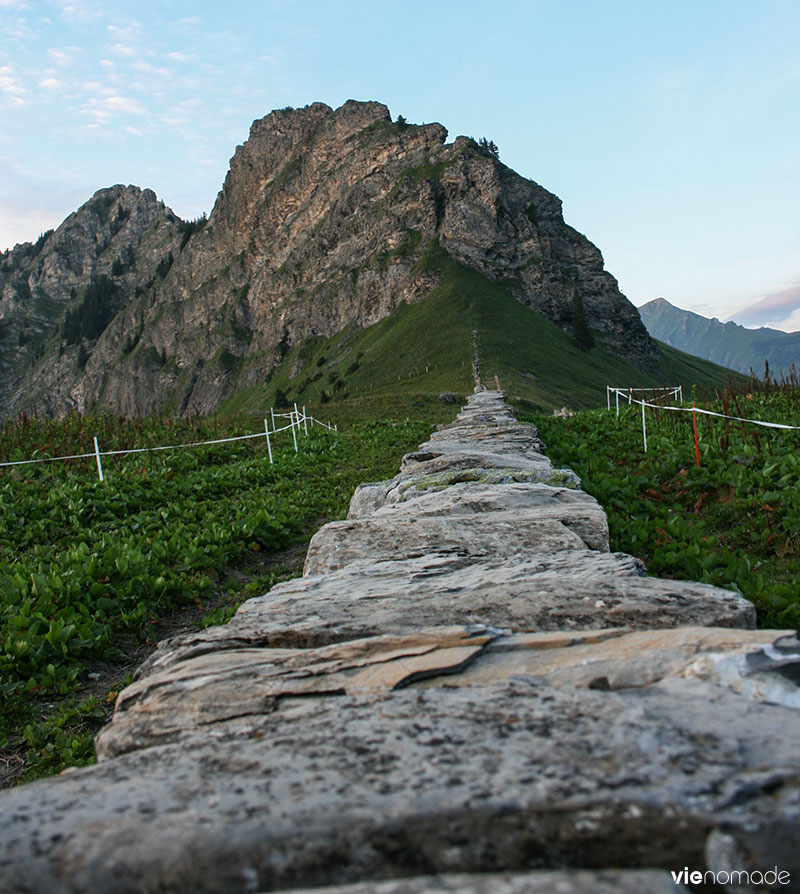 Etivaz, Pays d'En-Haut, Suisse