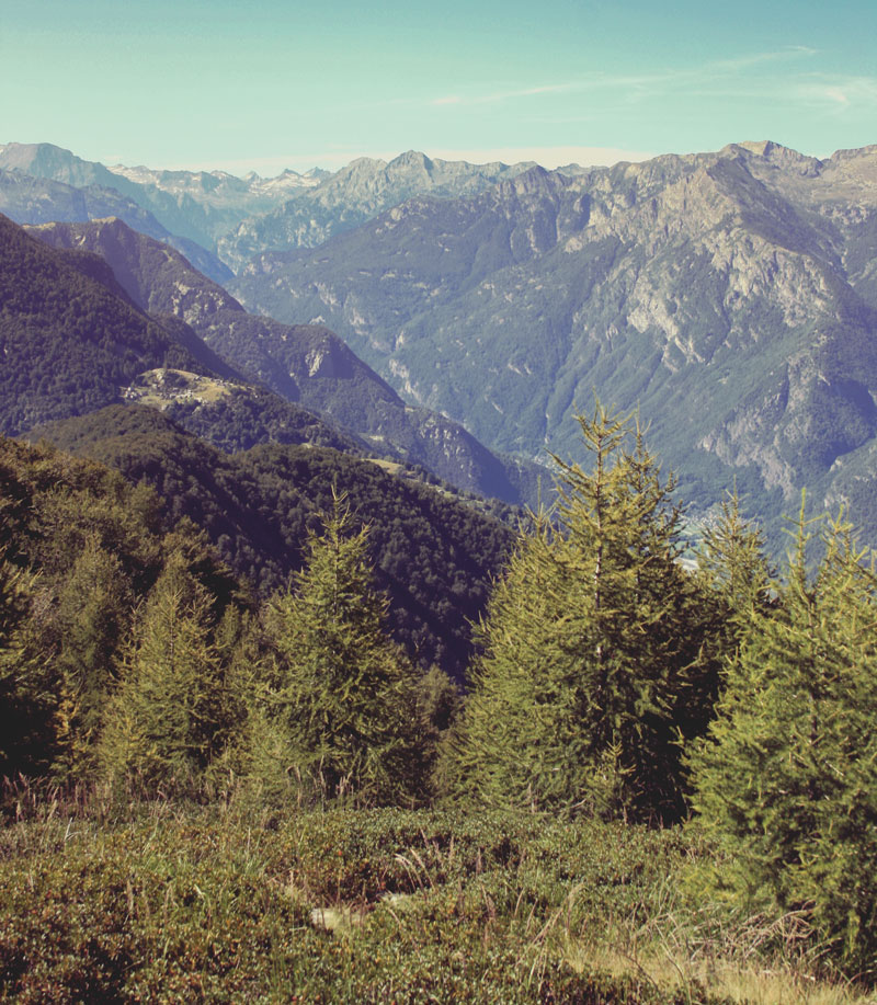 Monte Salmone, Tessin, Suisse