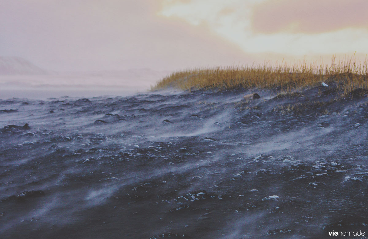 Le vent sur les plages de sable noir