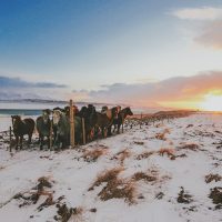 Voyager en Islande