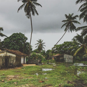 Carnet de voyage au Sri Lanka