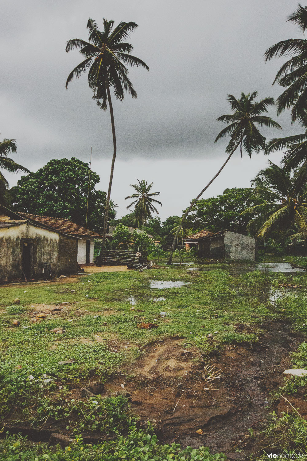 Baraques à Kalutara, Sri Lanka