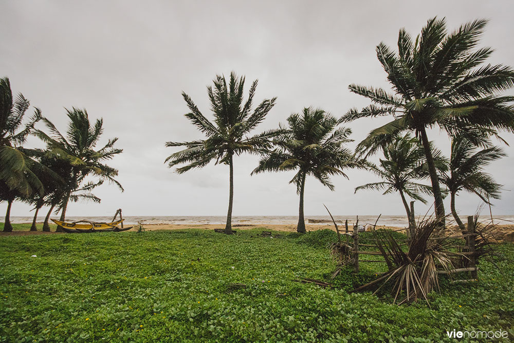 Voyage au Sri Lanka