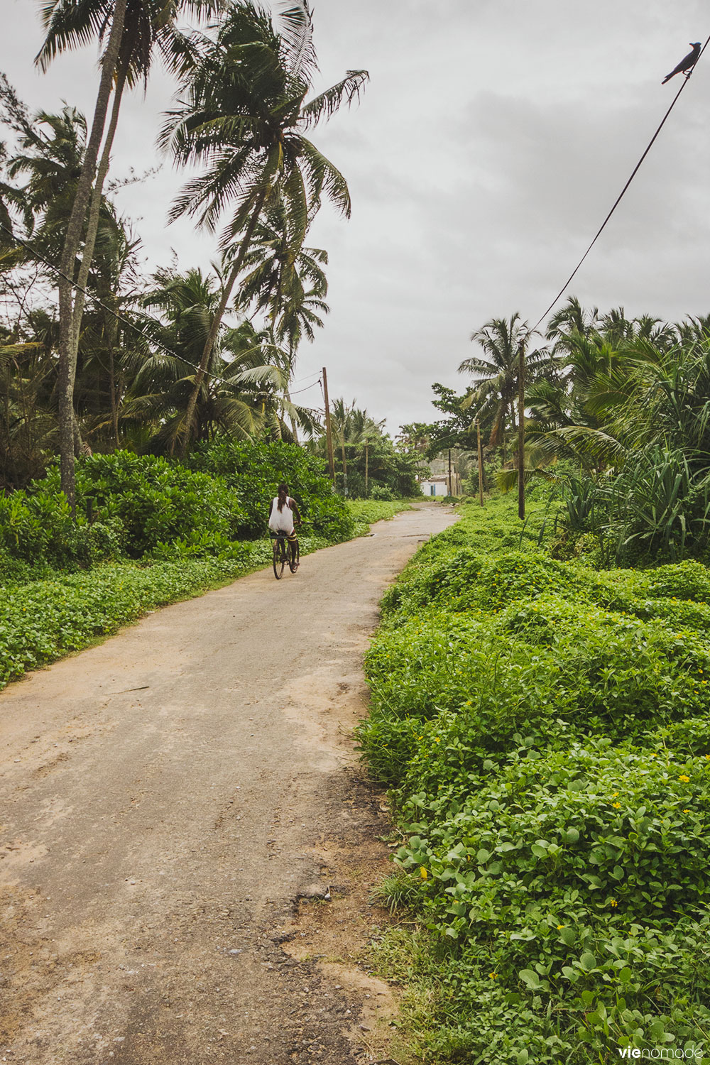 Voyage au Sri Lanka