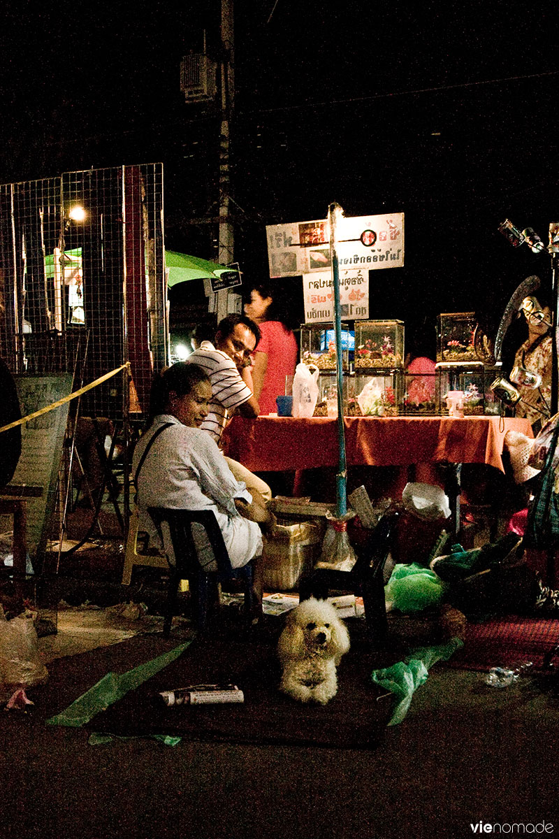 Night Bazaar de Chiang Rai