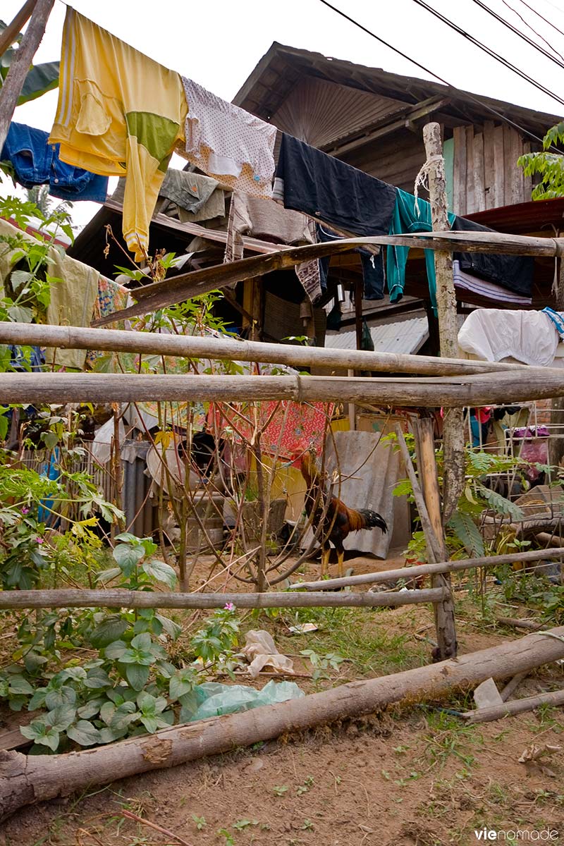 Village au Laos, près de Vientiane