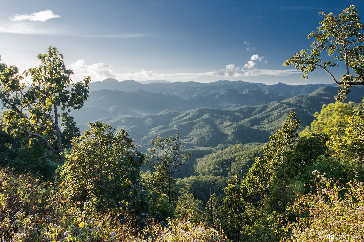 Frontière entre la Birmanie et la Thaïlande