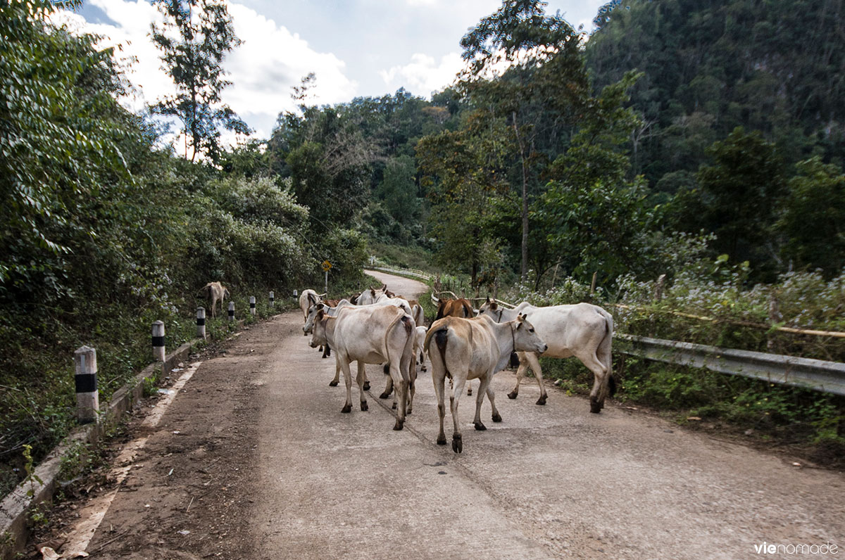 Road trip en scooter en Thaïlande