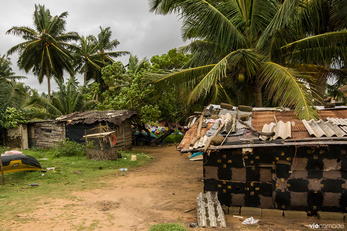 Carnet de voyage au Sri Lanka