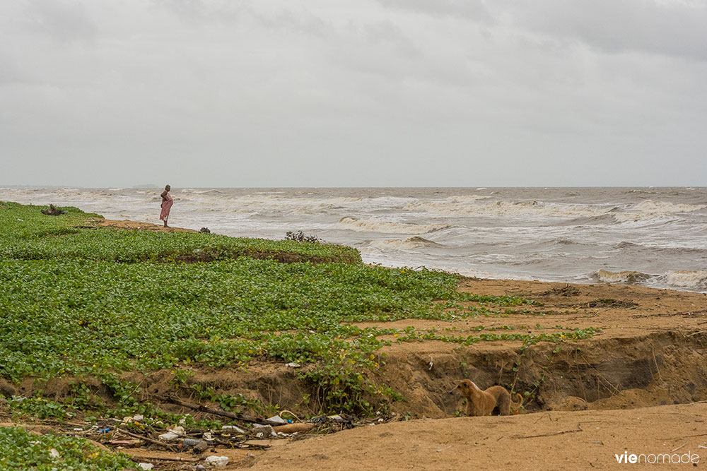 Voyage au Sri Lanka