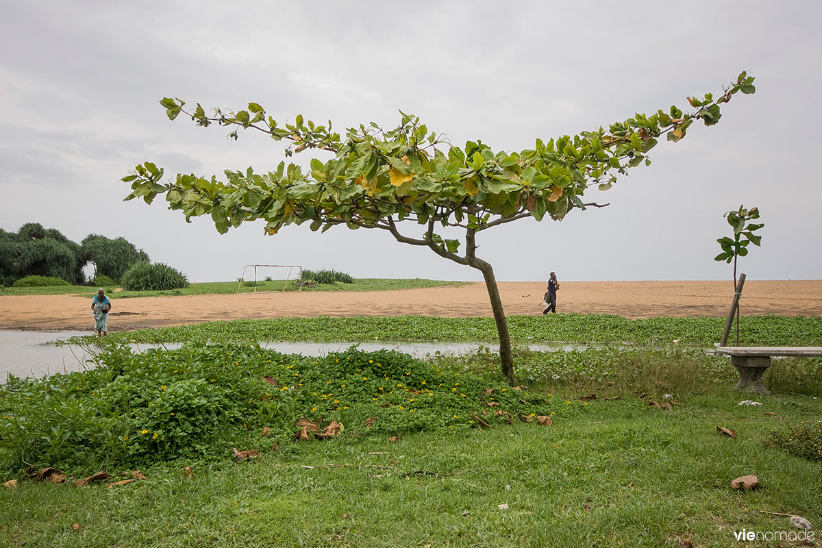 Voyage au Sri Lanka