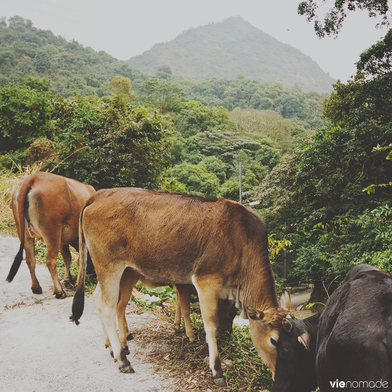 Shing Mun Redoubt, Hong Kong