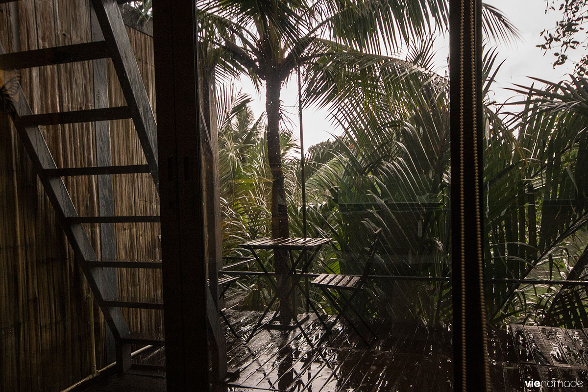 Bangkok Tree House: logement insolite à Bangkok