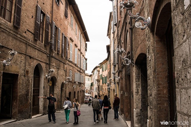 Imprimée en 1894, Sienne (Siena), Italie. Original Vintage