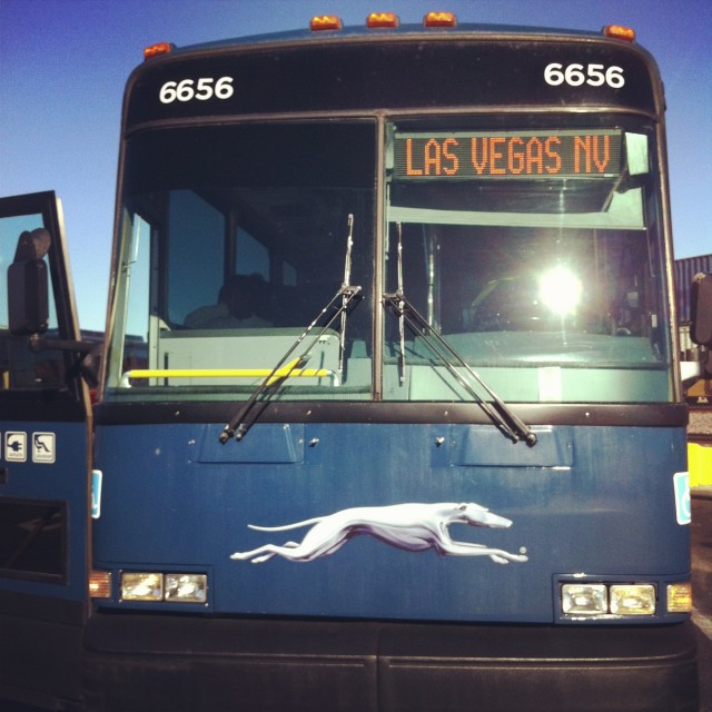 Greyhound pour Las Vegas