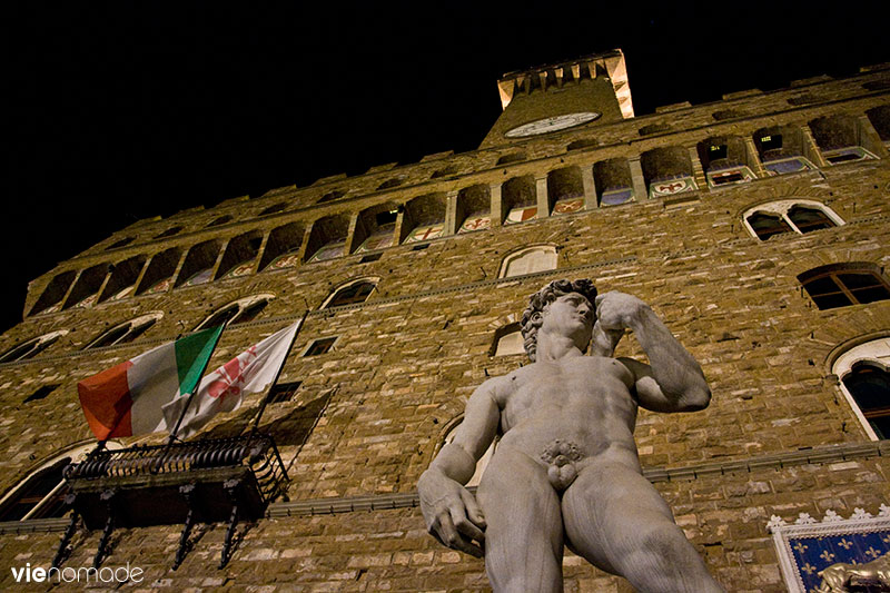 Le Michelange de David à Florence