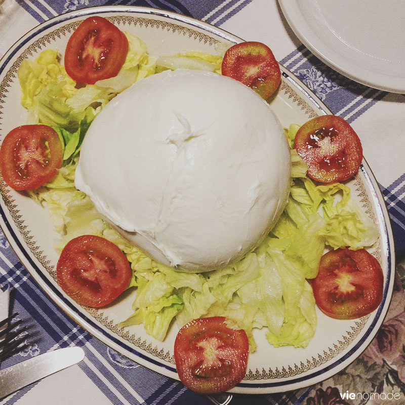 Mozzarella di bufala géante