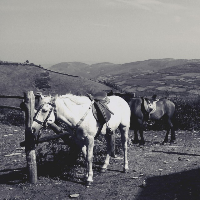 Equitation en Galice