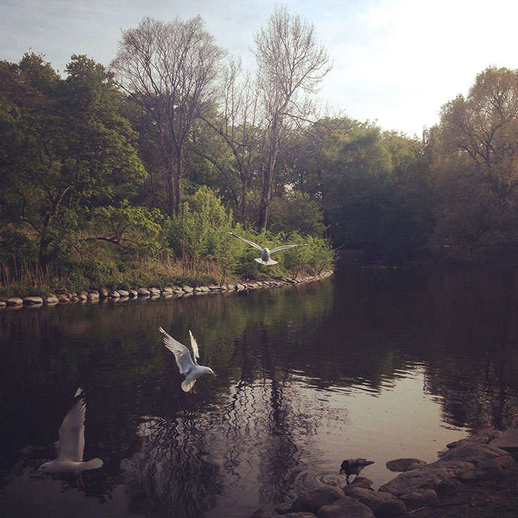 Slottsparken, Malmö