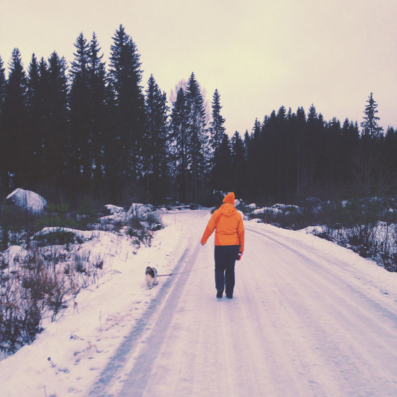 Dans les forêts de Finlande