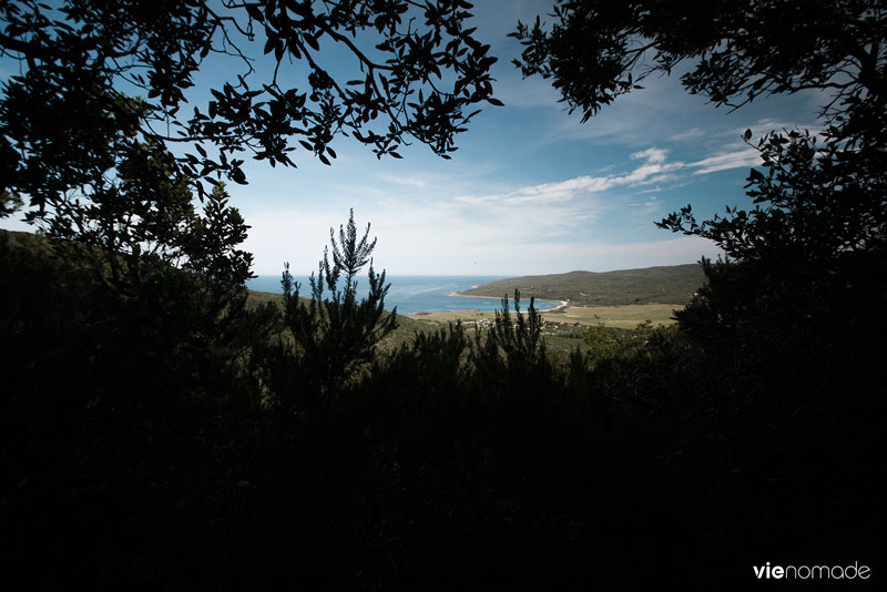 Randonnée en Corse: dans le maquis