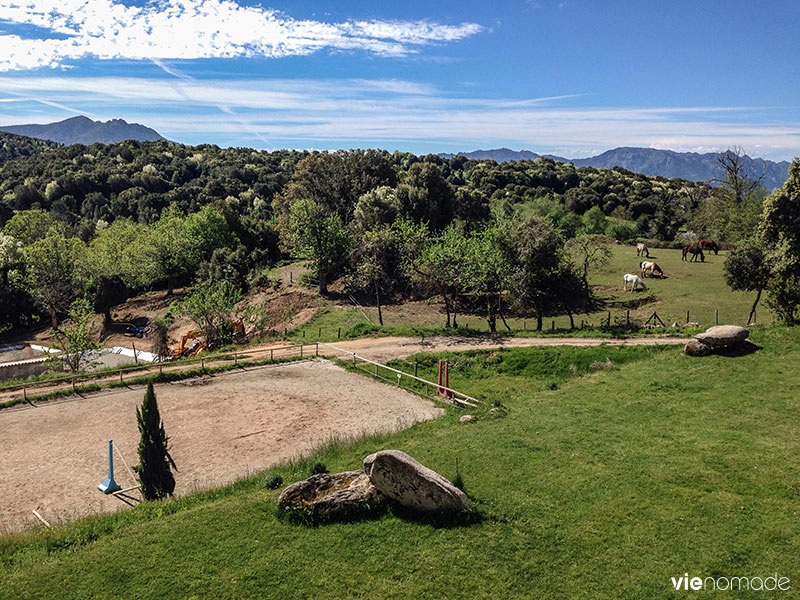 A Pignata, ferme-auberge à Levie, Corse