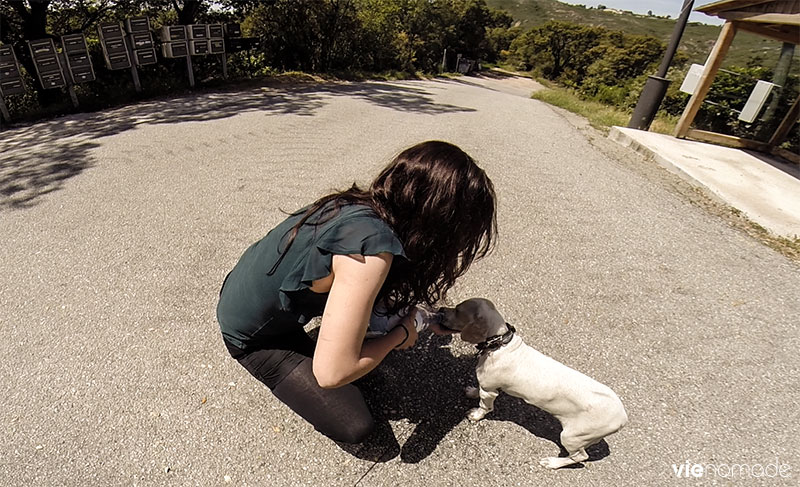 Road trip en Corse