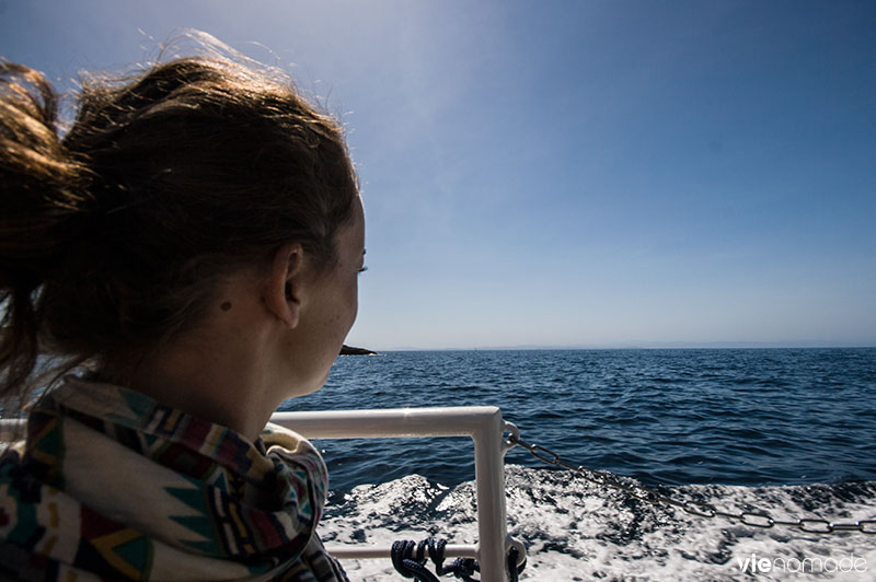 Balade en bateau à Bonifacio