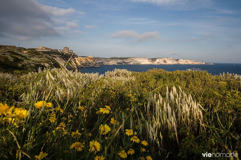 Bonifacio, Corse