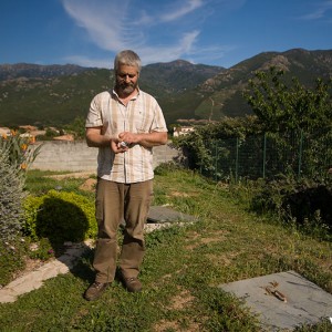 Joseph Brescaglia, safran corse (Ucciani)