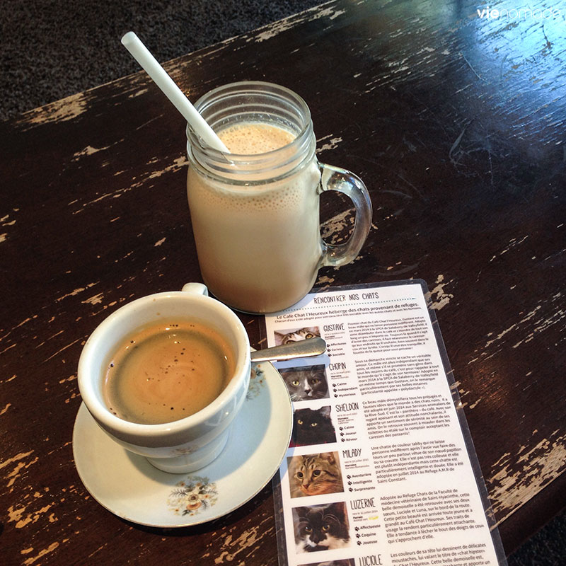 Café Chat l'heureux, Montréal