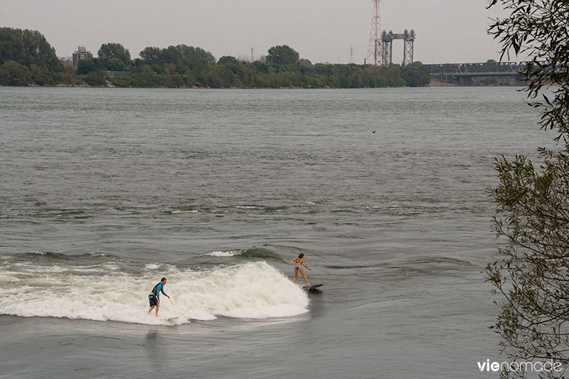 Surf sur le Saint-Laurent, Montréal