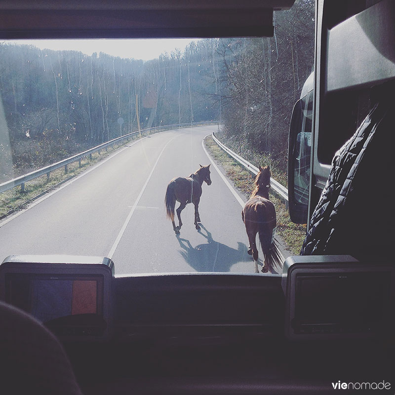 De la Bulgarie à Istanbul en bus