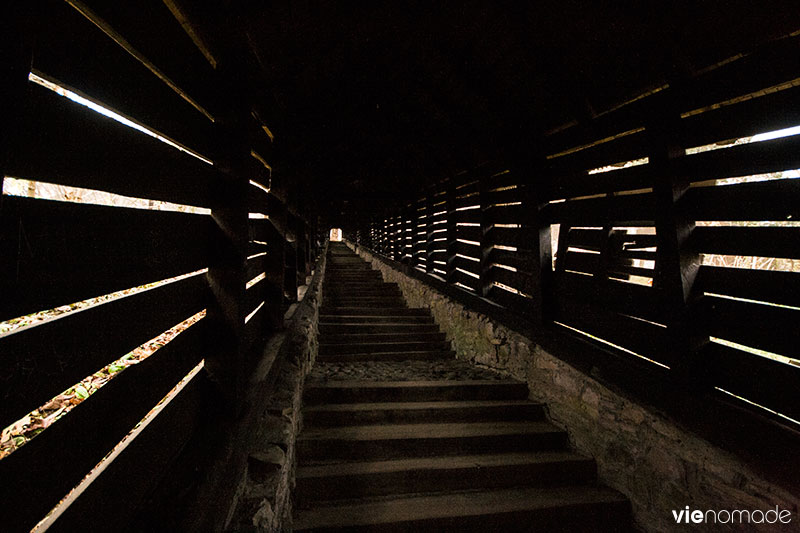 Sighisoara, les escaliers des écoliers (scara scolarilor)