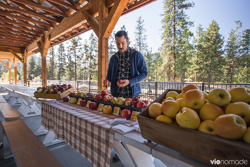 Pommes de la Vallée de l'Okanagan