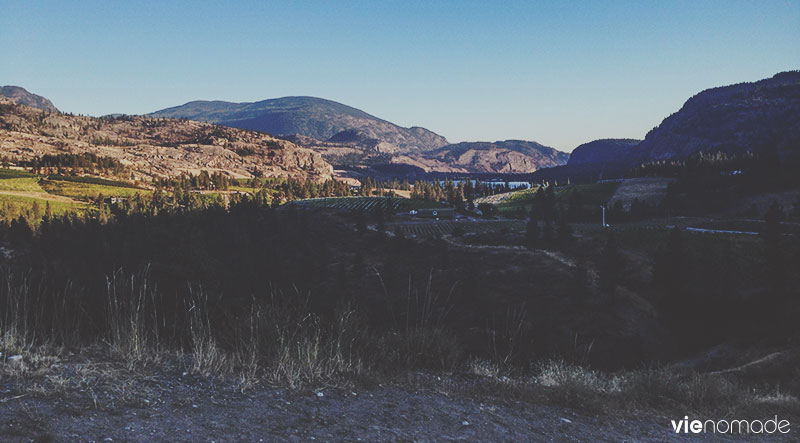 Domaine Liquidity dans l'Okanagan