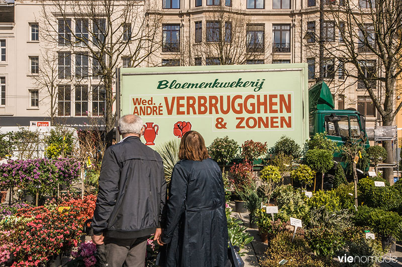 Marché aux fleurs, Gand