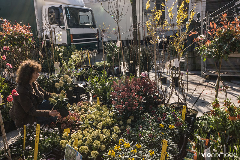 Marché aux fleurs, Gand