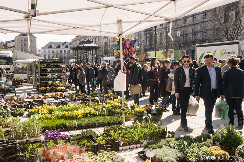 Marché aux fleurs, Gand