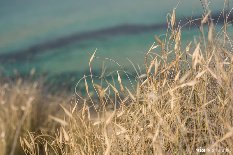 Ghajn Tuffieha, la plus belle plage de Malte