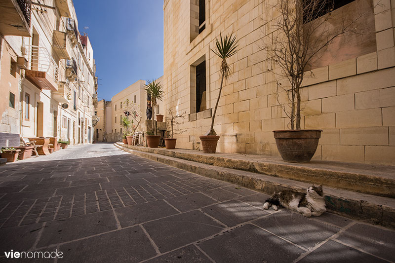 Birgu (Vittoriosa) Malte