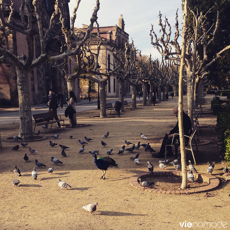 Barcelone, près d'Arc de Triomf