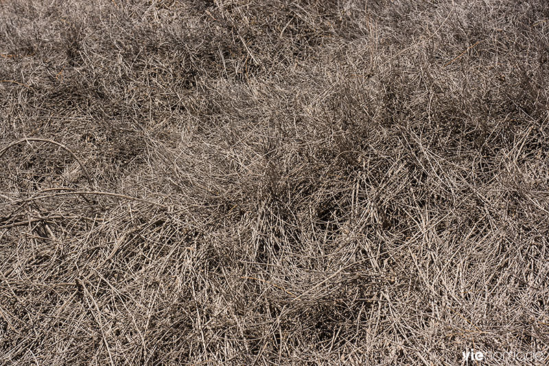 Sentiers de randonnée dans le cratère Maktesh Ramon